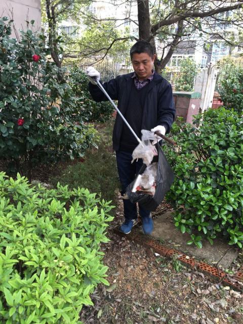 控制鼠害、預防疾病，構建和諧文明社區